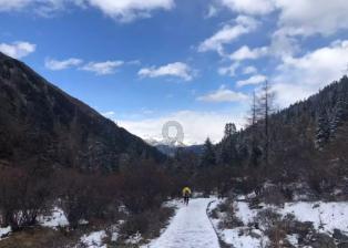 《幻兽帕鲁》铜钥匙获得方法