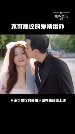救援瓢虫宝宝